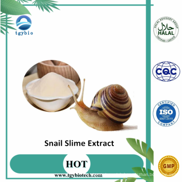 Snail Extract / Snail Slime Extract/Snail Protein Powder